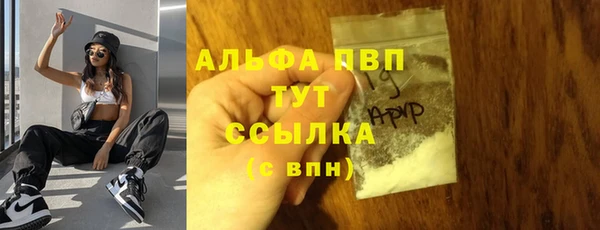 дмт Алексин
