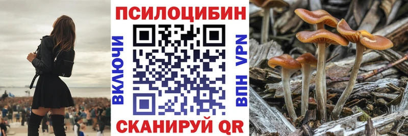 Псилоцибиновые грибы Psilocybine cubensis купить наркотики цена Южно-Сухокумск